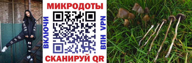 мега маркетплейс  Бирюсинск  Псилоцибиновые грибы MAGIC MUSHROOMS 